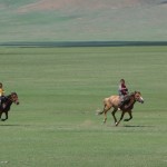Naadam - Arrivée de la course de chevaux